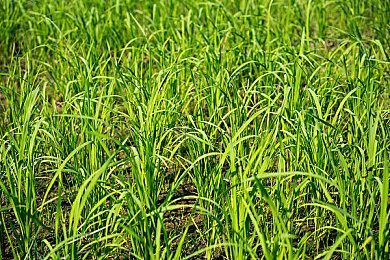 《镜头人生-模特写真馆》发售 Steam特别好评